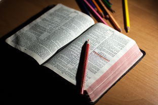 kaiyun-体育教师能力认证制度在试点城市启动，体育教师资格证认定条件