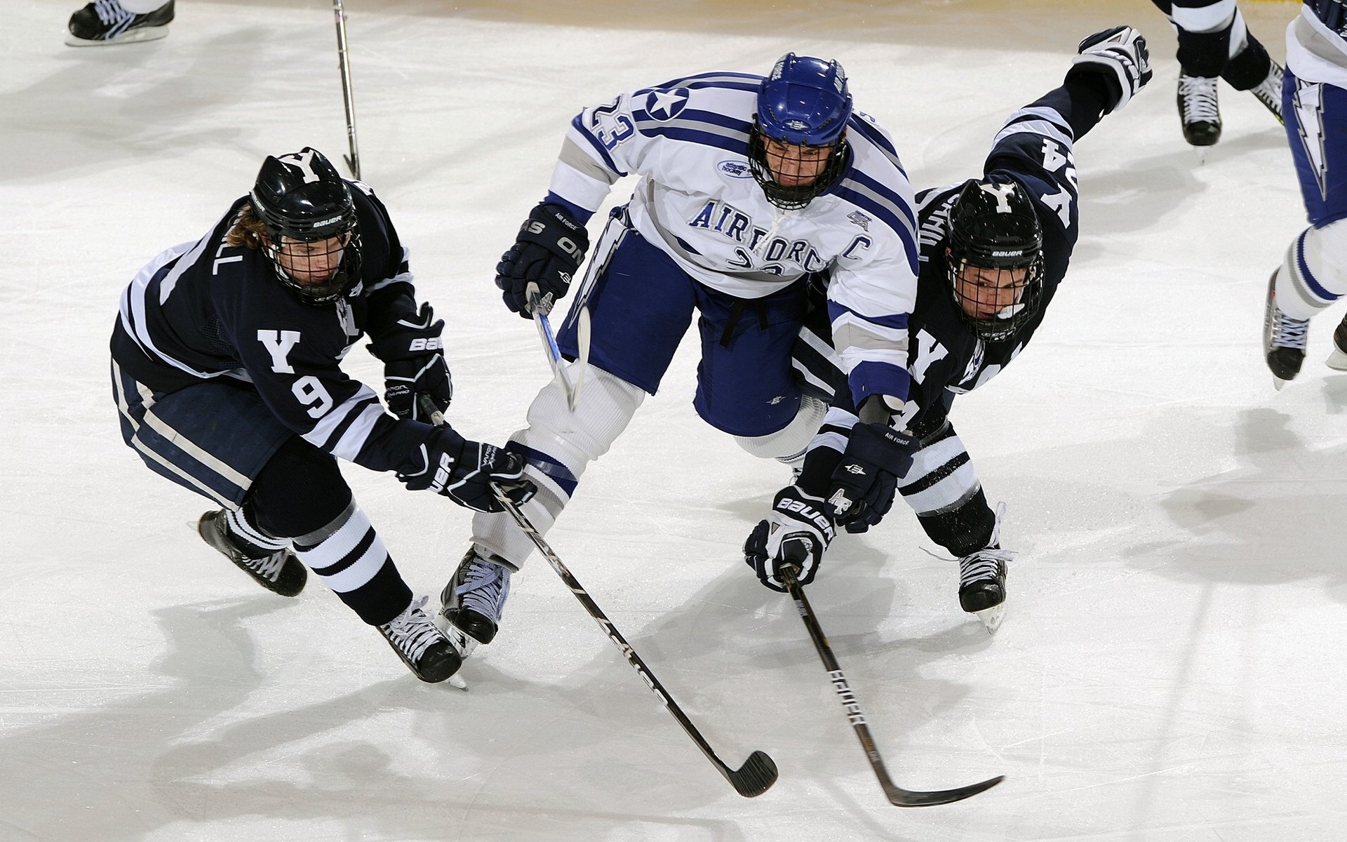 开云app下载-里奇·麦考带领全黑队夺得世界杯，书写历史篇章